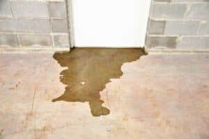 What To Know About Floodproofing Your Basement - Inside and Outside